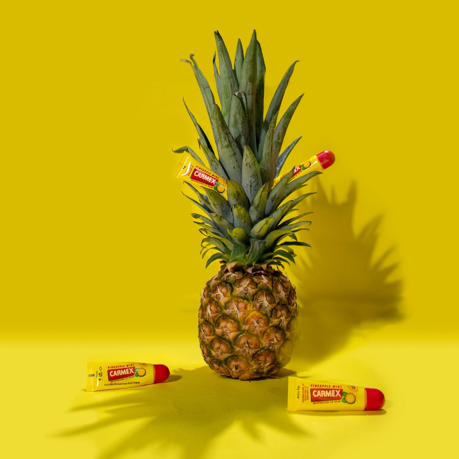 Carmex Pineapple &amp; Mint Tube 10g