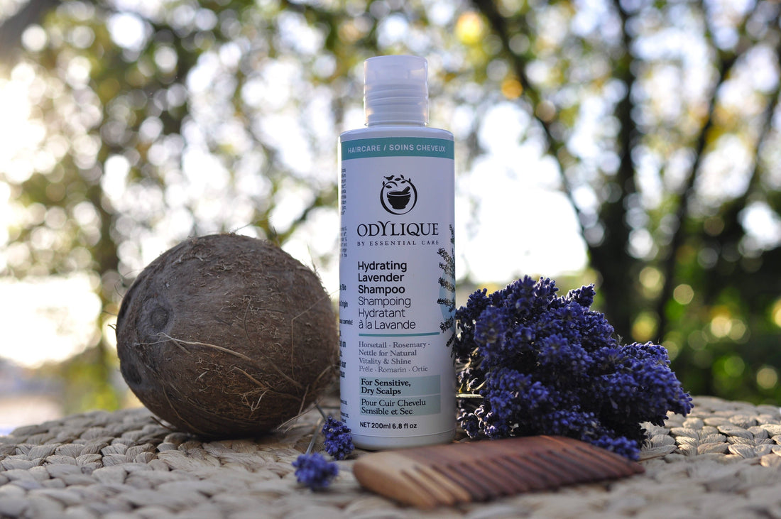 Odylique Hydrating Lavender Shampoo